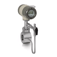 VersaFlow Vortex Shedding Flow Meter